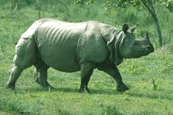 Nepal Tour Package From Gorakhpur